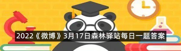 2022《微博》3月17日森林驿站每日一题答案