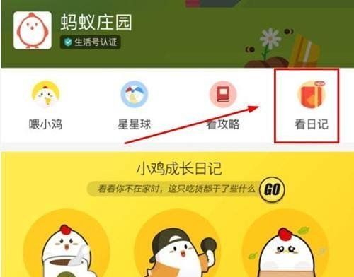 2020《支付宝》12月13日每日一题答案（3）