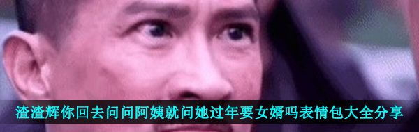 渣渣辉你回去问问阿姨就问她过年要女婿吗GIF表情包分享