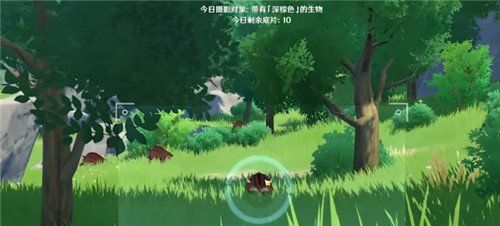 《原神》深棕色照片拍摄位置介绍