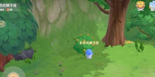 《摩尔庄园》橙色浆果采集地点