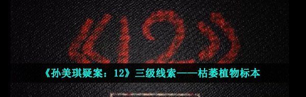 《孙美琪疑案：12》三级线索——枯萎植物标本