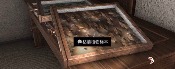 《孙美琪疑案：12》三级线索——枯萎植物标本