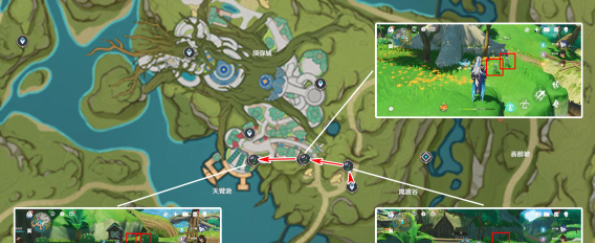 《原神》4.8帕蒂莎兰采集位置
