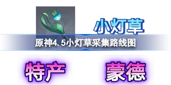 原神4.5小灯草采集路线图 原神4.5小灯草怎么快速获得