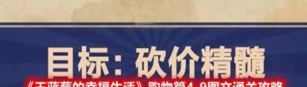 《王蓝莓的幸福生活》购物篇4-9图文通关攻略