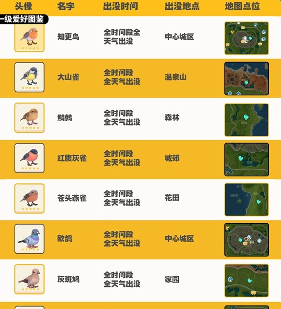 《心动小镇》观鸟图鉴大全