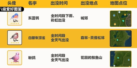 《心动小镇》观鸟图鉴大全