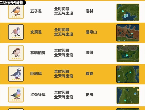 《心动小镇》观鸟图鉴大全