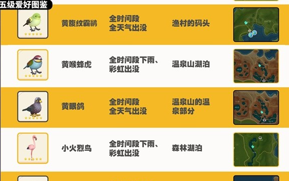 《心动小镇》观鸟图鉴大全