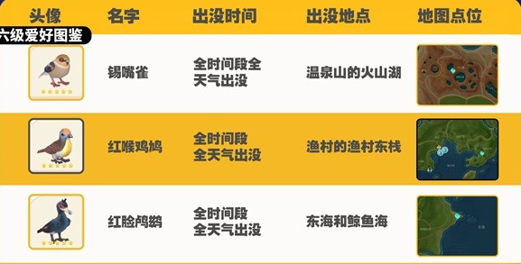 《心动小镇》观鸟图鉴大全
