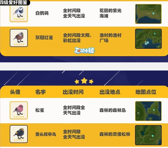 《心动小镇》观鸟图鉴大全
