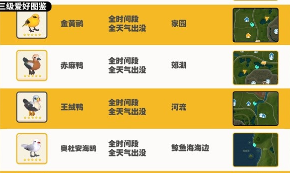 《心动小镇》观鸟图鉴大全