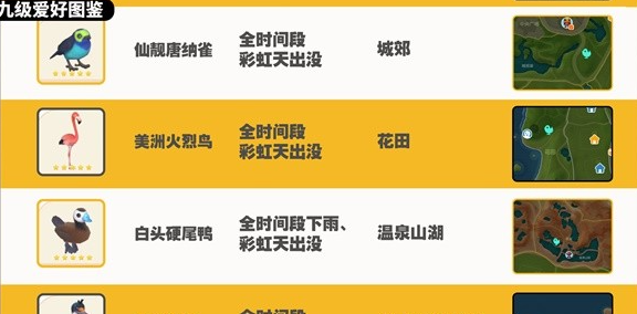 《心动小镇》观鸟图鉴大全