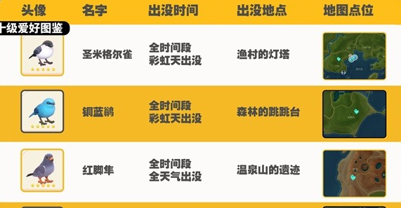 《心动小镇》观鸟图鉴大全