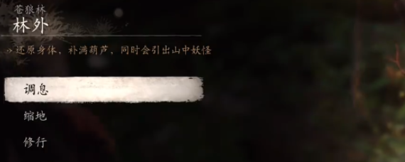 《黑神话悟空》全打坐点位置大全