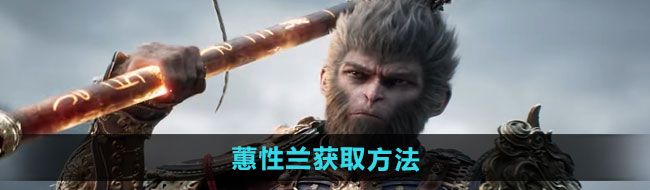 《黑神话悟空》蕙性兰获取方法