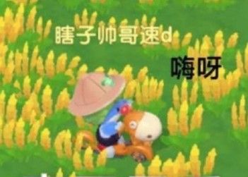 摩尔庄园手游热门表情包大全GIF动图