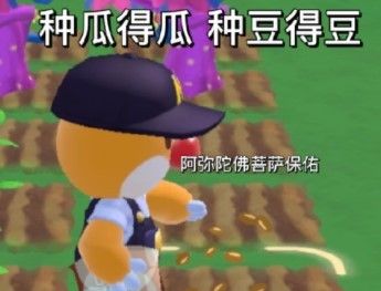 摩尔庄园手游热门表情包大全GIF动图