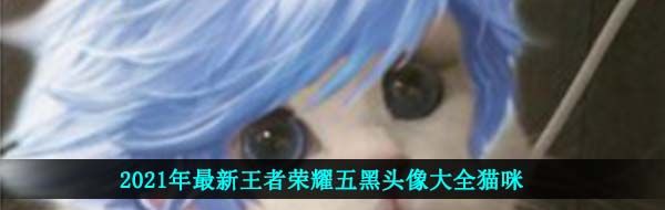 2021年最新王者荣耀五黑头像大全猫咪