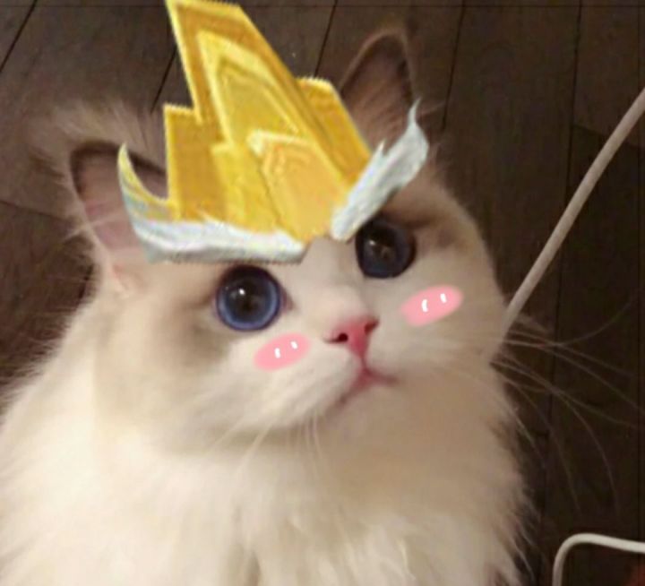 2021年最新王者荣耀五黑头像大全猫咪