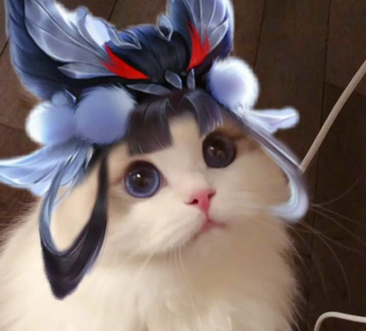2021年最新王者荣耀五黑头像大全猫咪