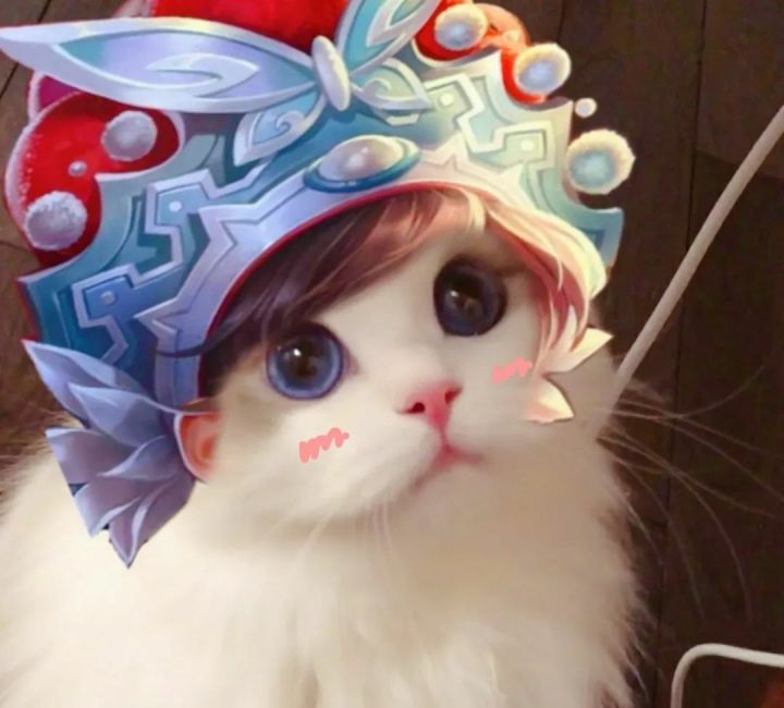 2021年最新王者荣耀五黑头像大全猫咪
