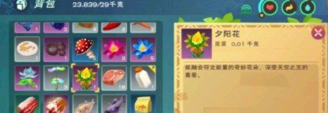 《创造与魔法》夕阳花刷新位置介绍