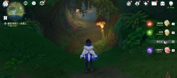 《原神》森林书系列任务愿为一炊之梦攻略