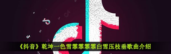 《抖音》谁与归歌曲信息介绍