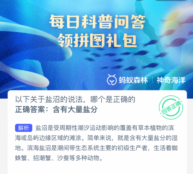 以下关于盐沼的说法，哪个是正确的