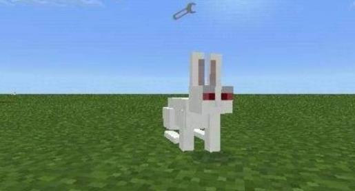 杀手兔