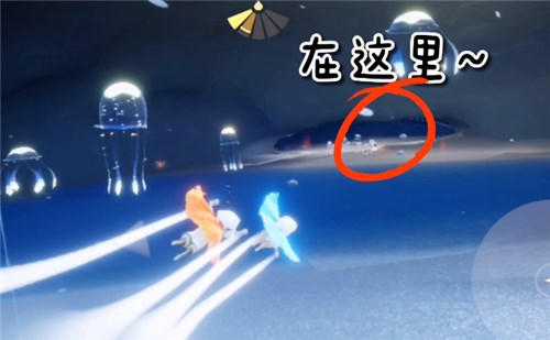 光遇水母先祖在哪(1)