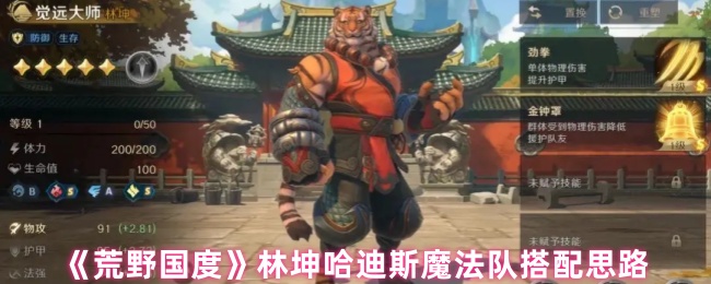 《荒野国度》林坤哈迪斯魔法队搭配思路