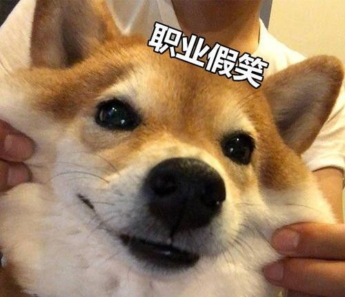 《抖音》谢谢你狗子表情包分享