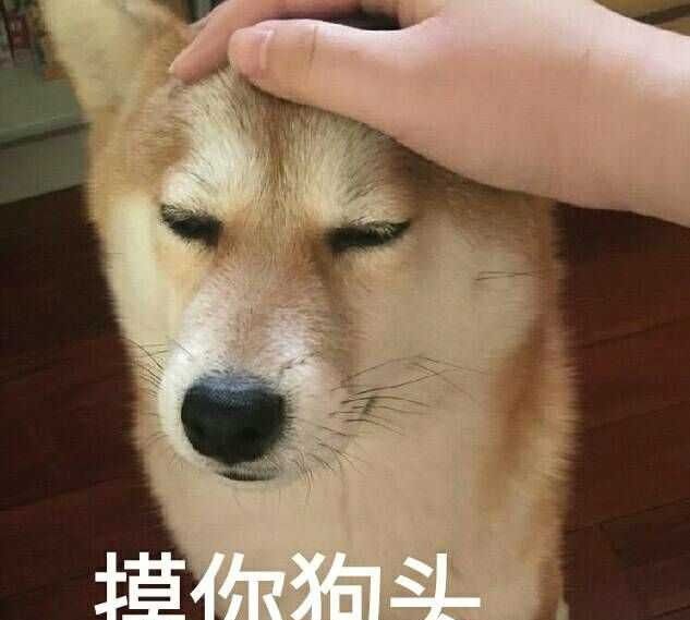 《抖音》谢谢你狗子表情包分享