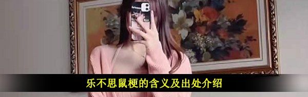 乐不思鼠梗的含义及出处介绍
