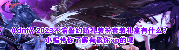 《dnf》2023不渝誓约婚礼装扮套装礼盒有什么？小编带你了解